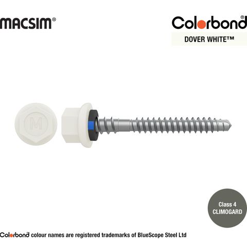 6.3MM X 50MM NYROX ROOF SCREW HWF/NEO DOVER WHITE