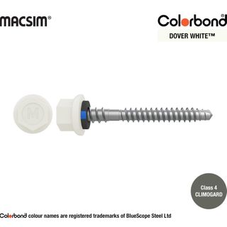 6.3MM X 50MM NYROX ROOF SCREW HWF/NEO DOVER WHITE