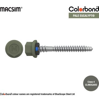 6.3MM X 50MM NYROX ROOF SCREW HWF/NEO PALE ECALYPT