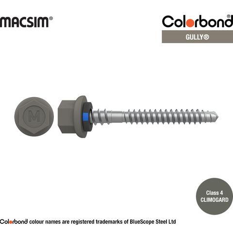 6.3MM X 50MM NYROX ROOF SCREW HWF/NEO  GULLY