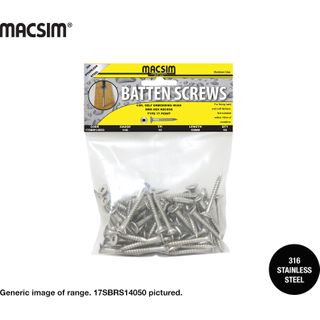 14X100 316SS T17 BATTEN SCR RP