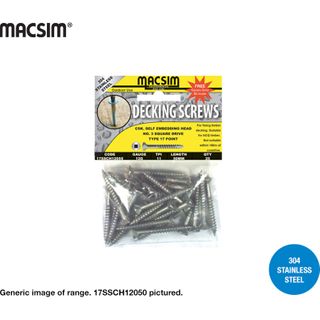 12 x 100 SS SEH TYPE 17 SCREW