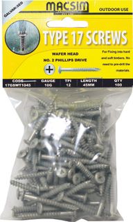 10-12x45 WFR TYPE 17 SCREW SS