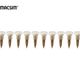 Fibre Cement Collated Screws