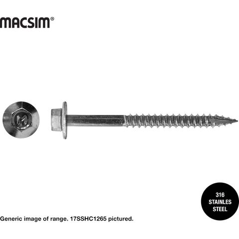 12x50mm SS HWFTYPE 17 SCREW