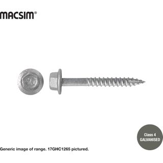 12gx45mm GAL HWF TYPE 17 SCREW