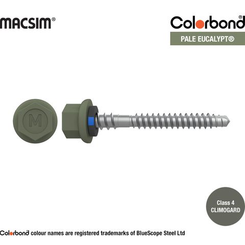 6.3mm x 65mm NYROX ROOF SCREW HWF/NEO PALE ECALYPT