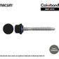 6.3mm x 65mm NYROX ROOF SCREW HWF/NEO NIGHT SKY