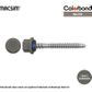 6.3mm x 65mm NYROX ROOF SCREW HWF/NEO GULLY