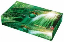 EARTHCARE FACIAL TISSUES 2PLY 100S (48)