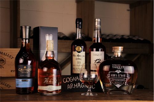 Demystifying Cognac and Armagnac