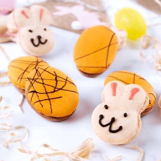 Easter Macarons - Bunny x4