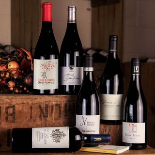 Syrah - The Drinkers Pack