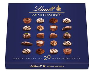 Lindt Mini Pralines Chocolates 100g