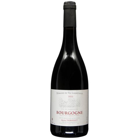 Bourgogne Pinot Noir 22