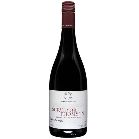 Surveyor Pinot Noir 17