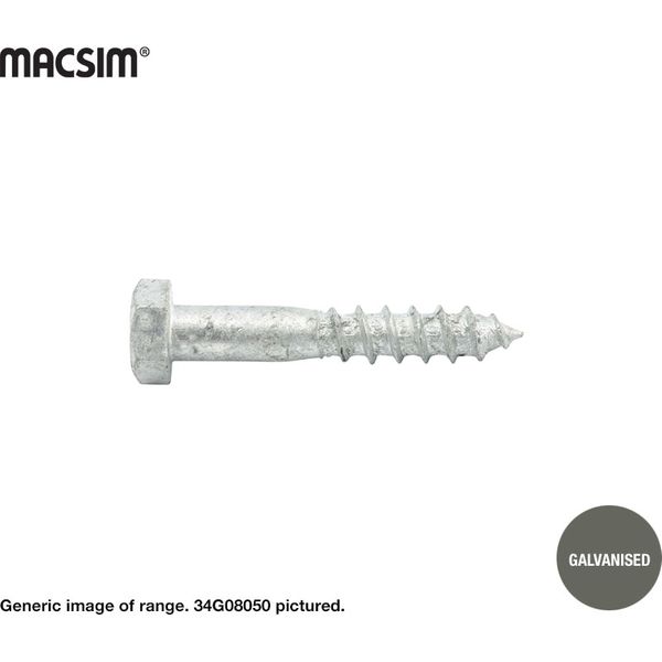 6mm x 100mm COACH SCREW GALV