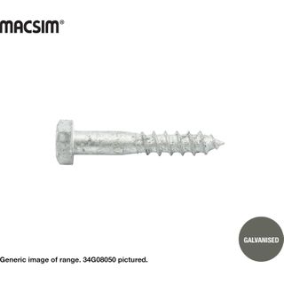 8mm x 25mm COACH SCREW GALV