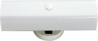 Bathroom Light Fixture (w/ Outlet) (14")