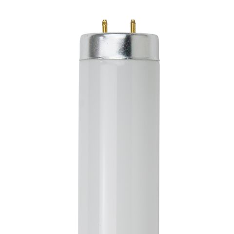 4' Fluorescent Light Bulb 2-Pin (Base G13) (F40T12/CWX) (40 Watt) (41K)