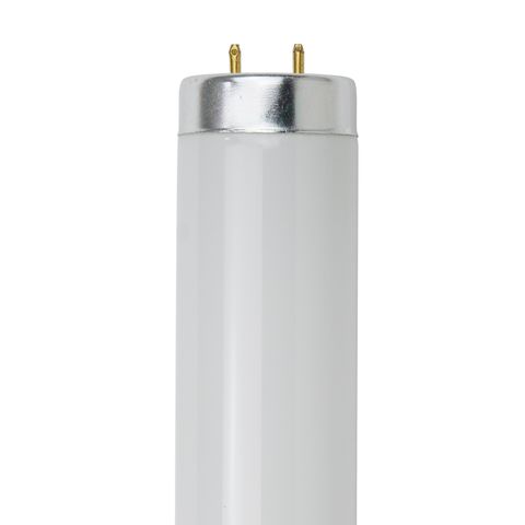 4' Fluorescent Light Bulb (2-Pin G13) (F40T12/CWX) (40 Watt) (41K)