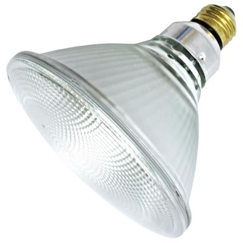 Outdoor Flood Light Bulb (70 Watt) (PAR38)