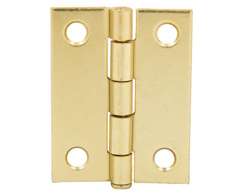 Utility Hinge w/ Screw (Brass Plated) (2")
