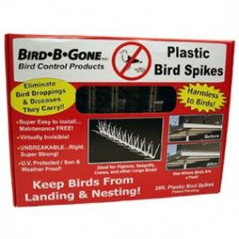 Plastic Bird Spikes (Clear) (5" x 20')