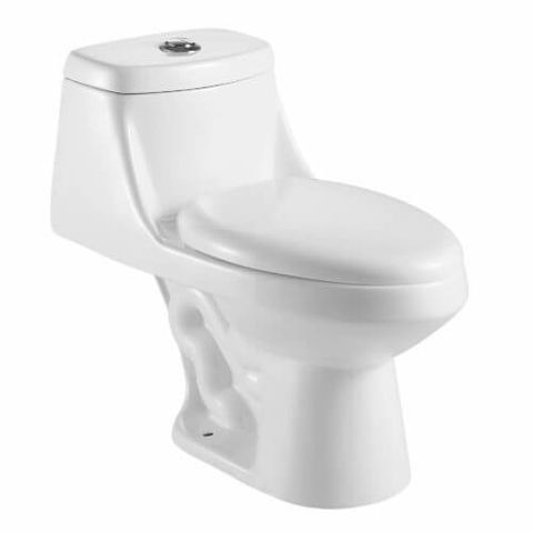 One Piece Toilet w/ Seat (Dual Flush)