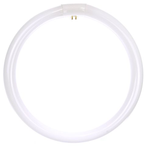 Circline Light Bulb (32 Watt) (12")