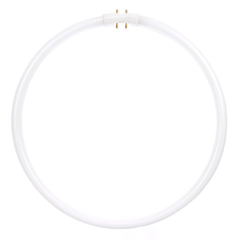 Circline Light Bulb (40 Watt) (F40T5)
