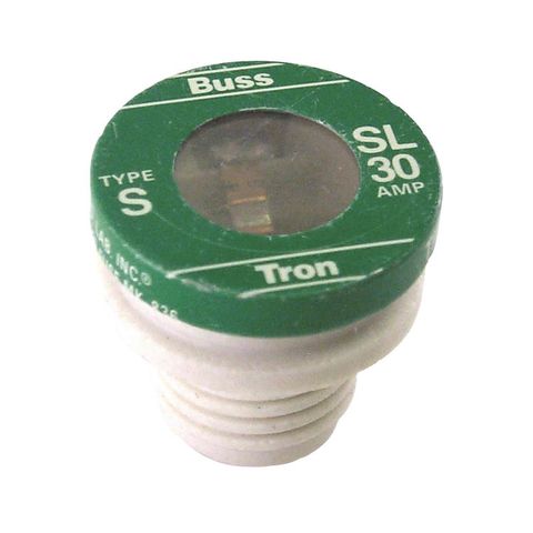 Time Delay 30 Amp Fuse (Plastic Base) (4 Pack)