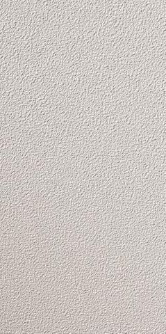Sheetrock Ceiling Panel (2' x 4') (4 Case)