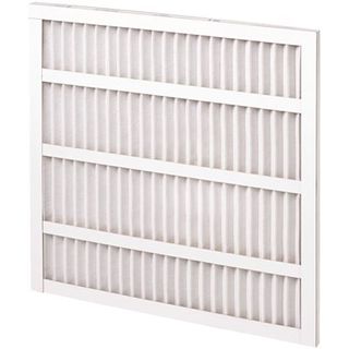 Pleated Air Filter (20"x20"x2") (12 Case)