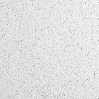 Ceiling Panels