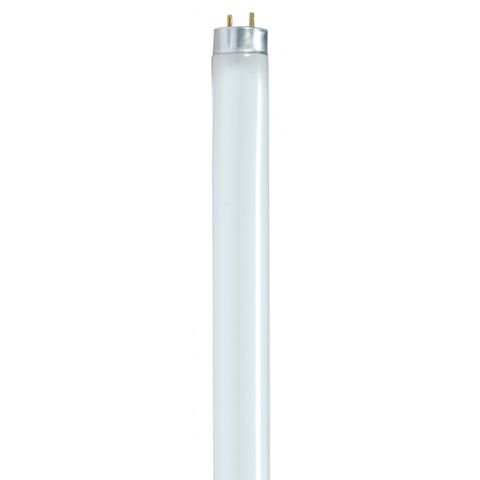 4' Fluorescent Light Bulb (F32T8/841) (32 Watt) (41K)