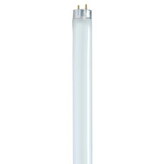 4' Fluorescent Light Bulb (F32T8/841) (32 Watt) (41K)