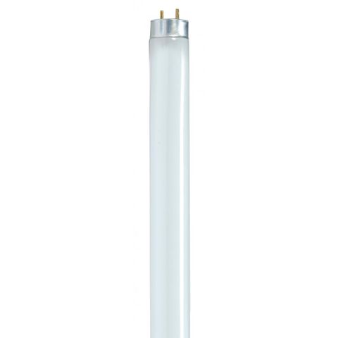 2' Fluorescent Light Bulb (F17T8/841)