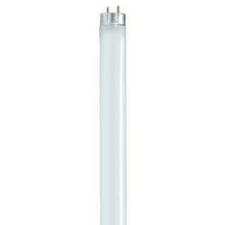 2' Fluorescent Light Bulb (F17T8/841)