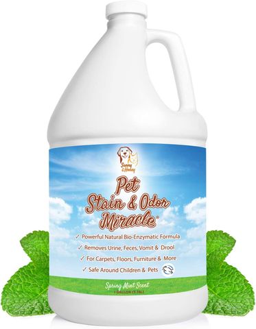 Sunny and Honey Pet Odor Eliminator and Stain Remover (Spring Mint Scent) (Gallon)