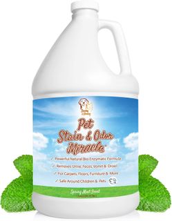 Sunny and Honey Pet Odor Eliminator and Stain Remover (Spring Mint Scent) (Gallon)