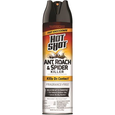Ant, Roach & Spider Spray (17.5 oz)
