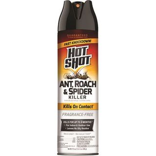 Ant, Roach & Spider Spray (17.5 oz)