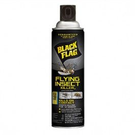 Black Flag Flying Insect Killer (18 oz)