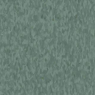 Armstrong VCT 57547 (Eucalyptus) (45 Sq Ft)