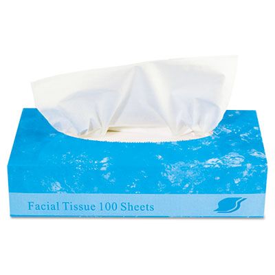 Facial Tissue 2Ply (100 Sheet) (30 Case)