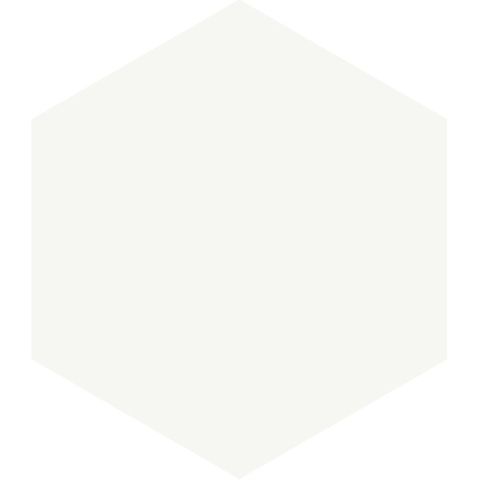 Magic Hexagon Porcelain Matte Tile (9" x 9") (9.9 Sq Ft)
