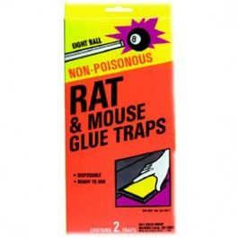 8 Ball Large Size Rat & Mouse Glue Trap (2 Pack) (12 Case)