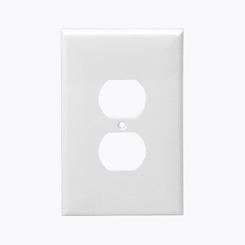 Combo Wall Plate Duplex/Receptacle (Plastic)