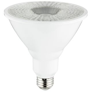 Flood Light Bulbs